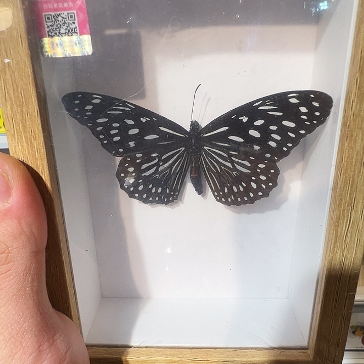 有机玻璃098997777689