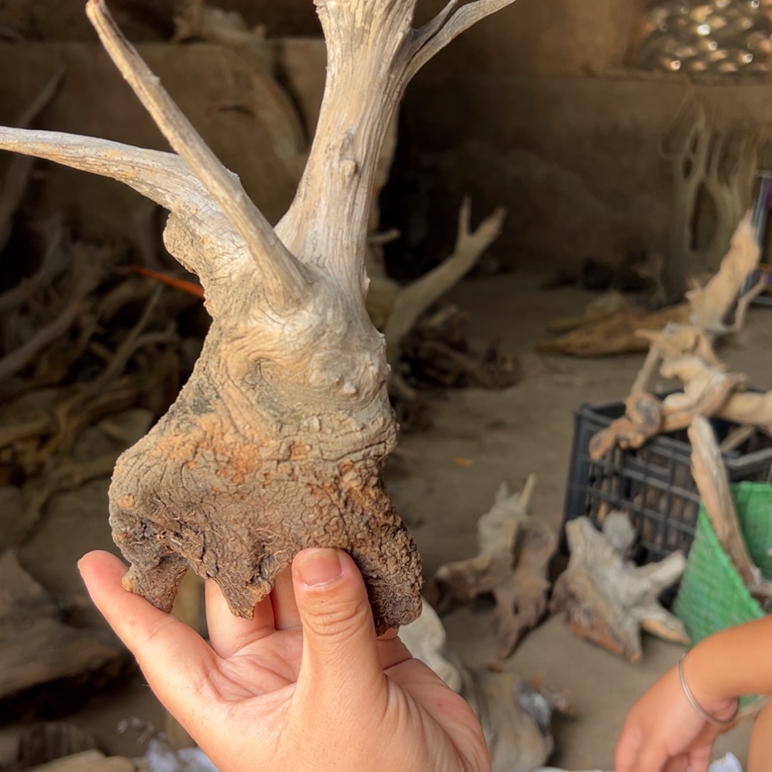 雪***娃柏木（崖柏）文玩根雕 