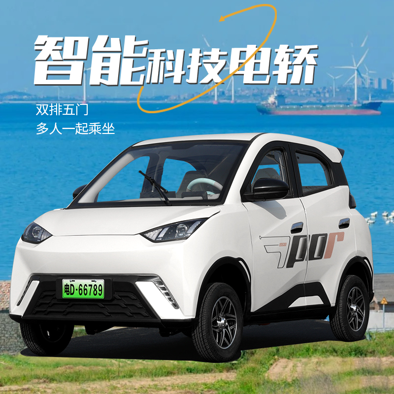 工厂直销2025新款海鸥四轮电动车老头乐锂电池新能源代步车封闭车