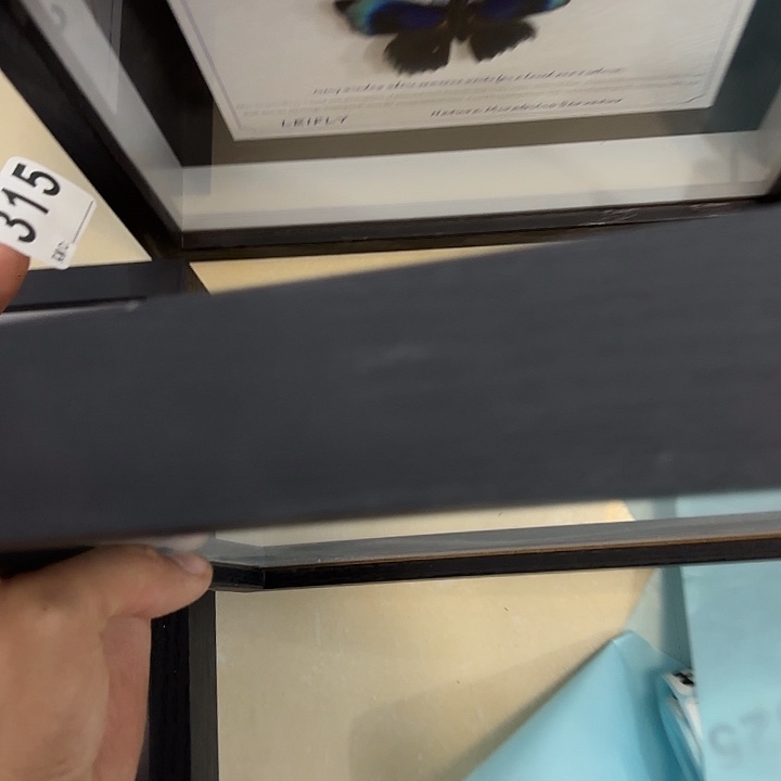 0***7蝴蝶标本定制315@