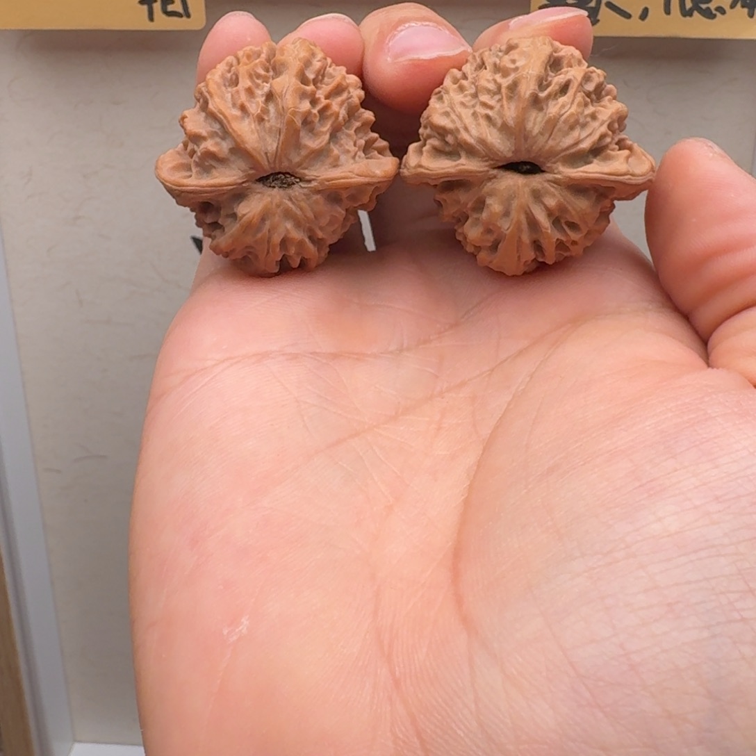 文玩核桃把件3841野生