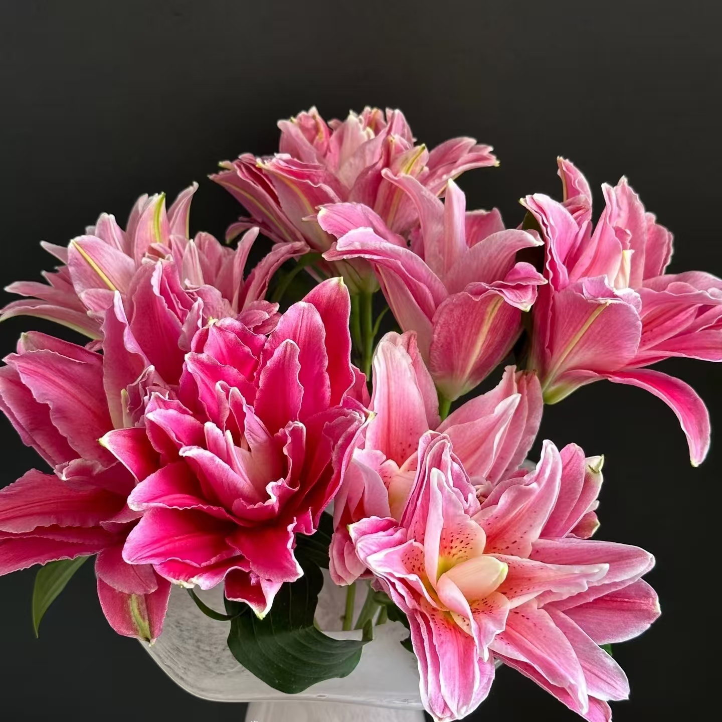 5枝红美人双头百合10个花苞香水百合【两单顺丰或京东快递】