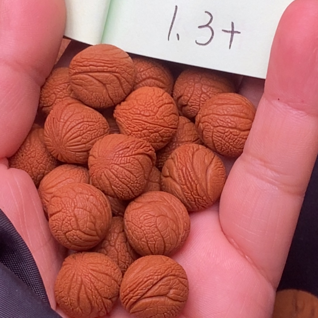 秦岭龙纹桃核18颗