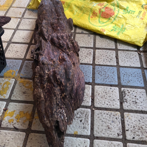 大香胆满油实心味道香气扑鼻可遇不可求