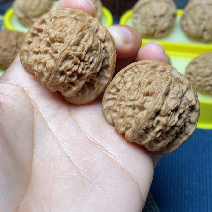 文玩核桃白狮子40