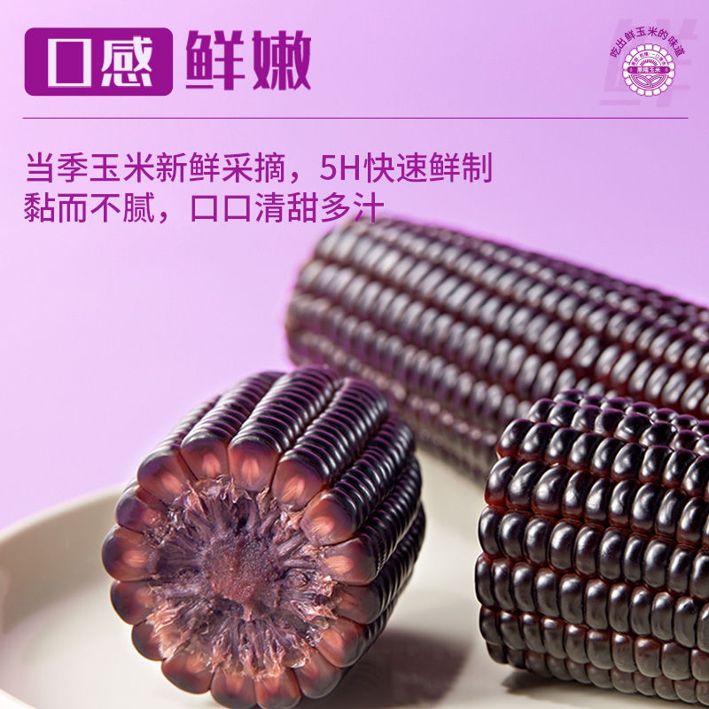 25头茬黑糯玉米 10根 试吃3根 东北黑土地种植