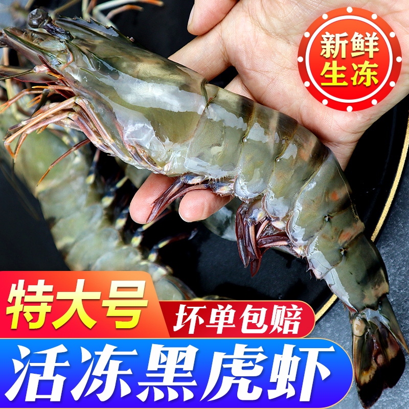 黑虎虾大号超特大老虎虾草虾斑节虾活虾速冻海虾净重不含冰大虾