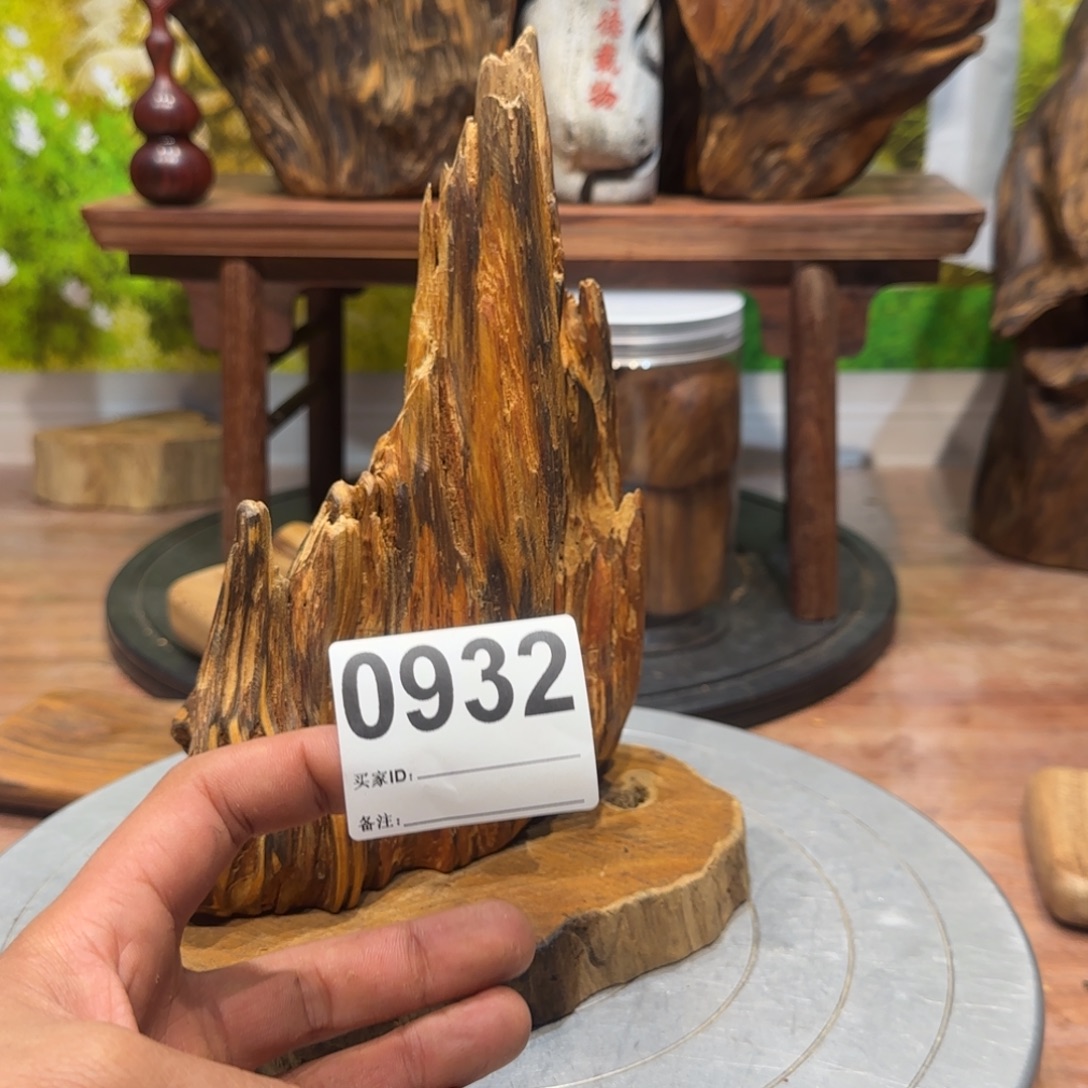 王***贞木哦哦哦哦哦哦哦哦75