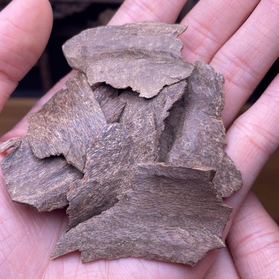 香榧木海南文昌包头碎料5克