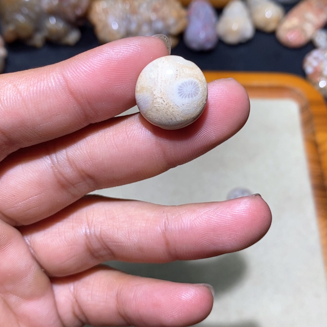 【闪购商品】硅化玉颈饰未镶嵌