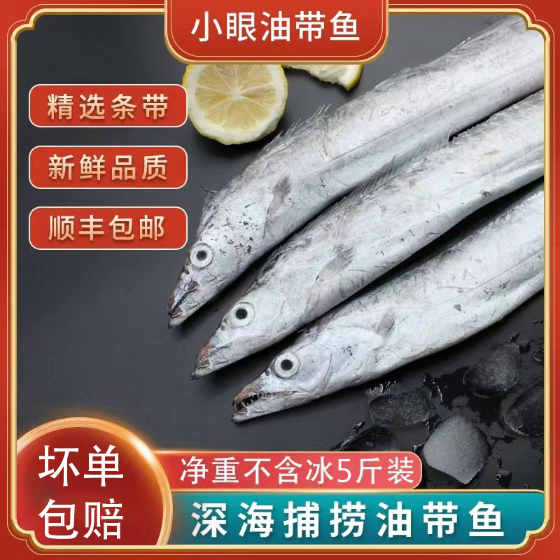 野生东海小眼油带鱼码头当日新鲜海捕肉嫩油脂丰厚整条 