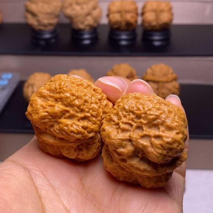 文玩核桃把件霸王龙脊9