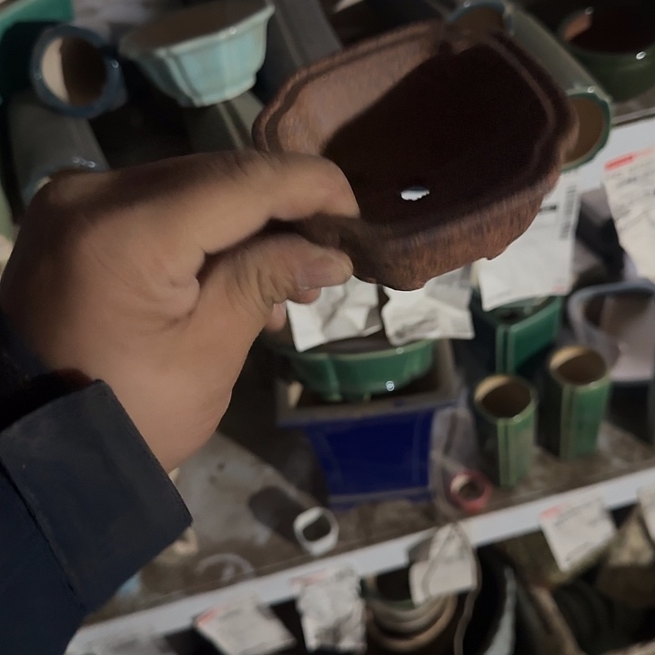 你就在家里待不着啦哈不来