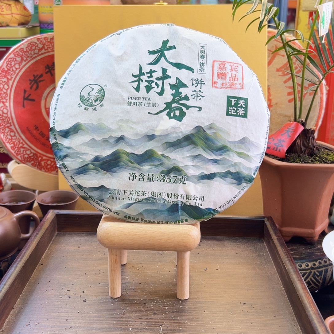 2024年下关大树春357克生茶