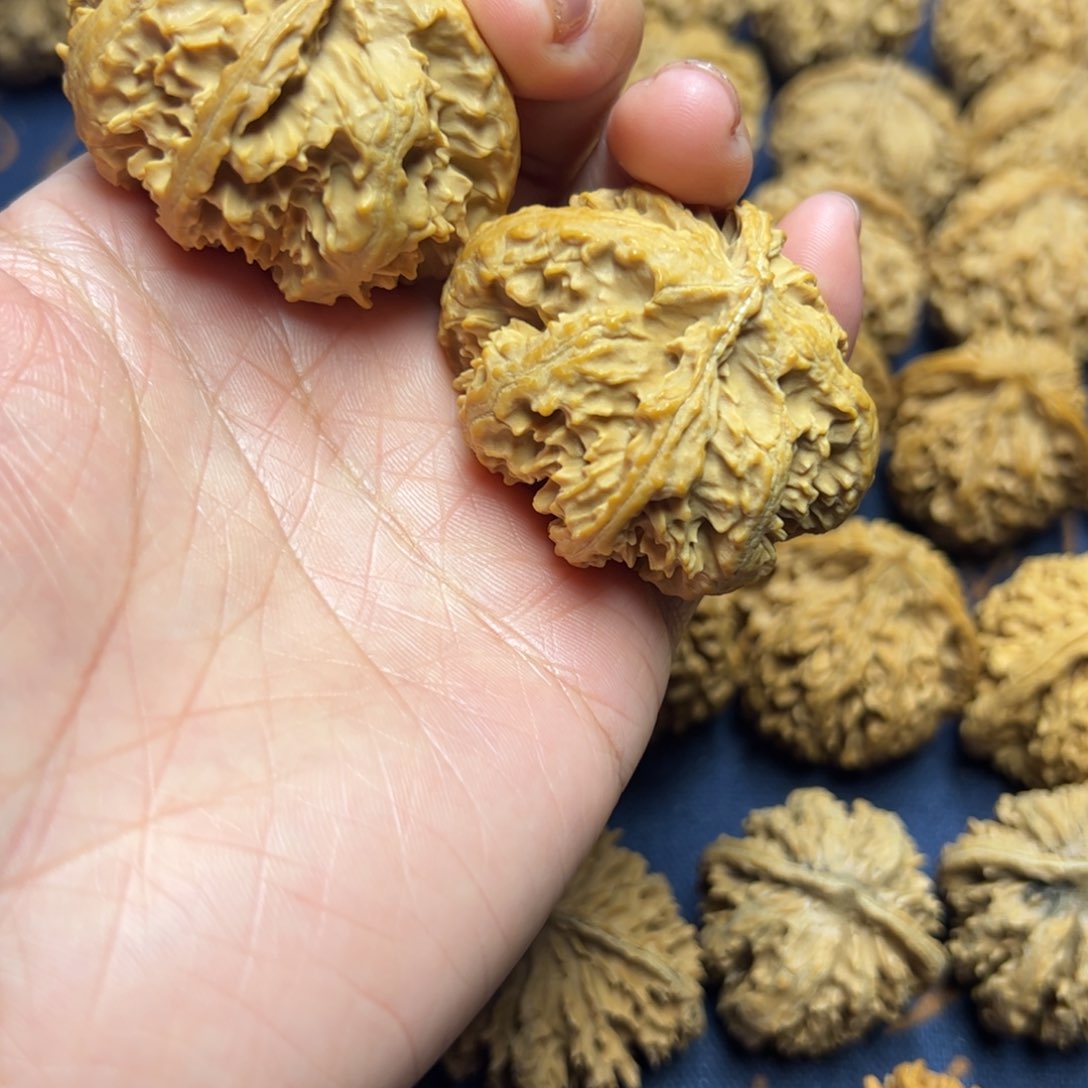 文玩核桃把件秦岭野生植物核桃