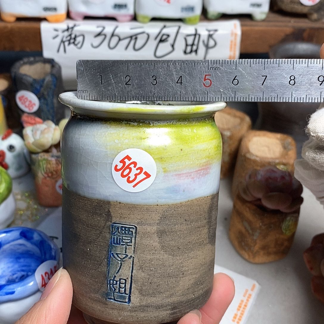 红陶拍5送一个小