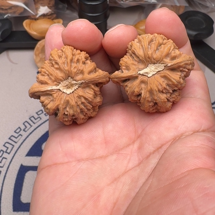 桃核把件山地密纹39尺34