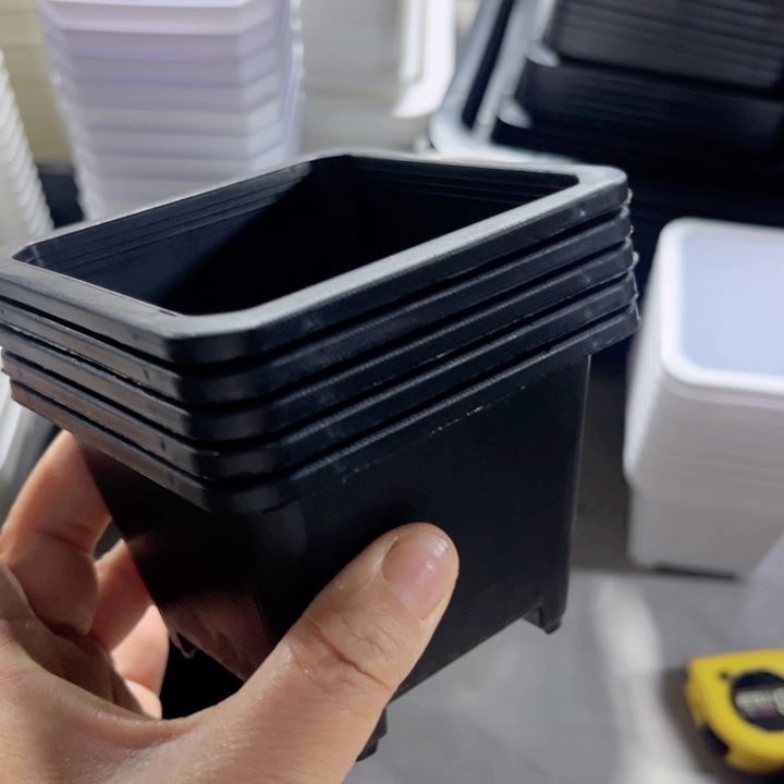 黑方口9高7一组50