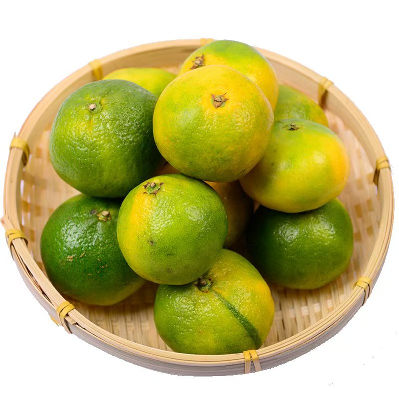 湖南湘西浦市蜜桔5斤酸甜适中7分甜3分酸现摘现发