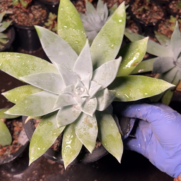 711哈哈哈哈哈哈哈哈哈