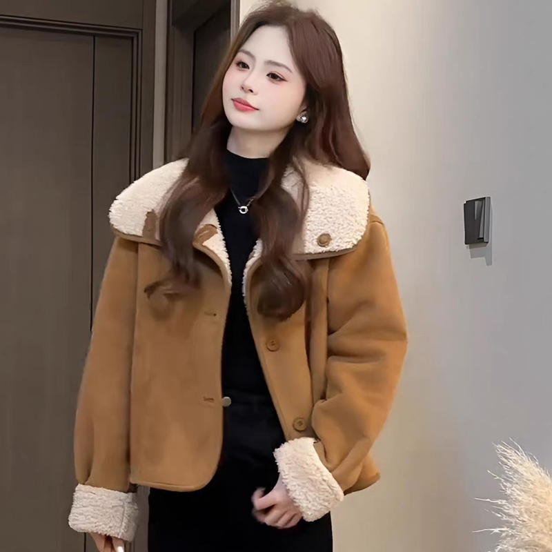 两面穿羊羔毛一体短外套 2025新款冬季羊羔绒立领夹克保暖 5571