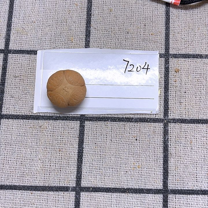 凤眼菩提手串你*懂19麒麟微瑕，86@7204