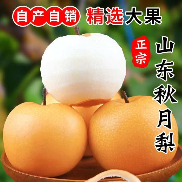 熊熊鲜果正宗山东莱阳秋月梨新鲜采摘当季水果皮薄脆甜多汁