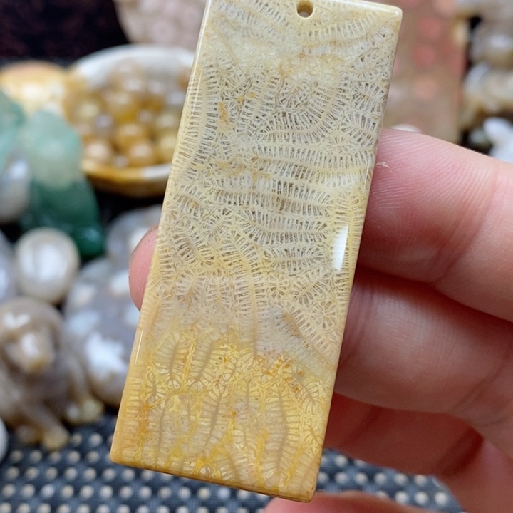 硅化珊瑚（珊瑚玉）颈饰未镶嵌