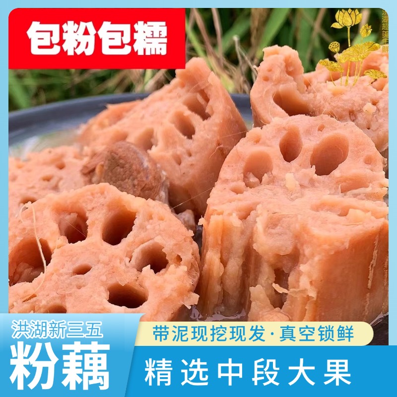 洪湖正宗新三五特级粉藕新鲜莲藕粉藕现挖九孔莲藕凉拌煲汤一整箱