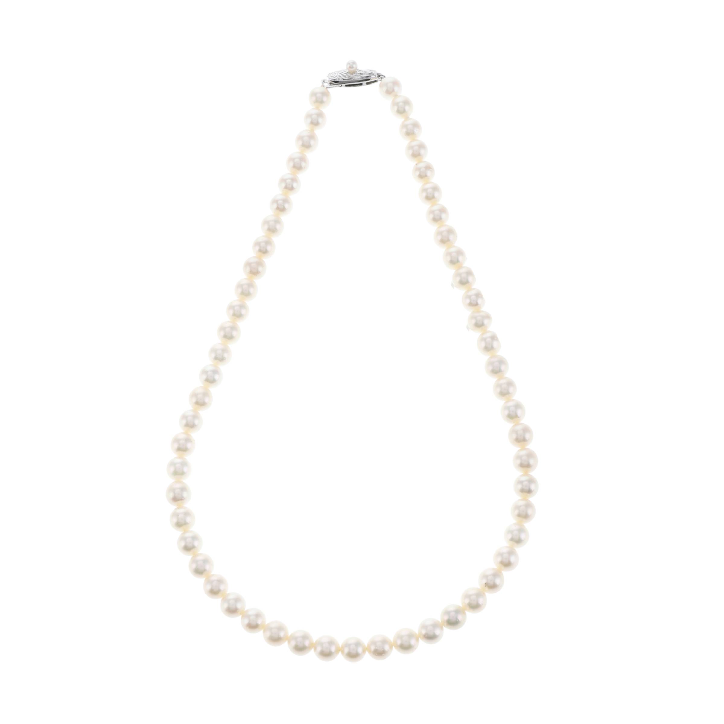 红布林/C1开箱/塔思琦/58636600/z/121497