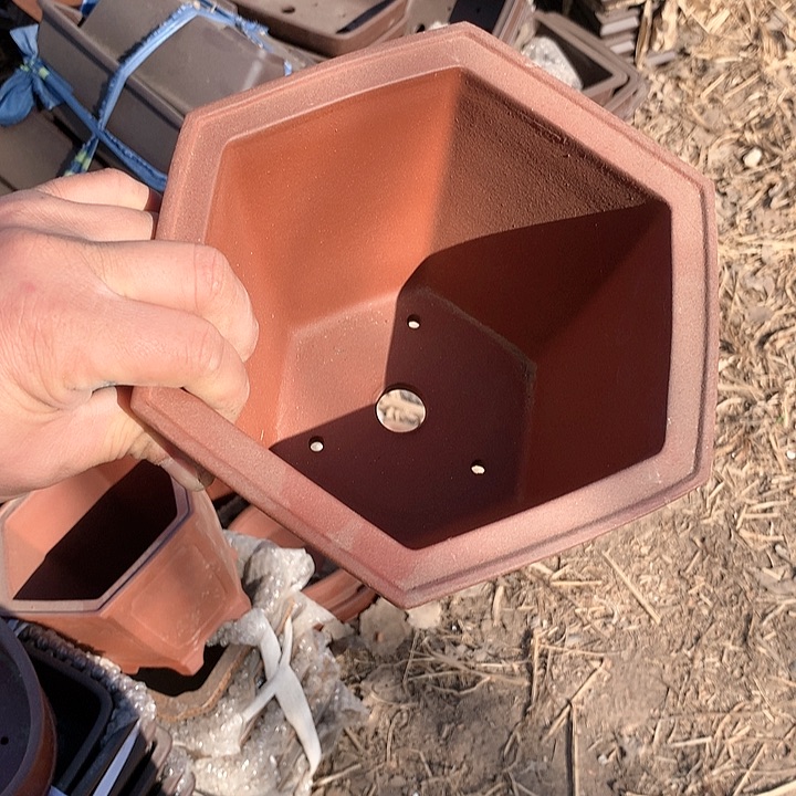 紫砂哈哈真的超级可爱哈哈哈哈哈