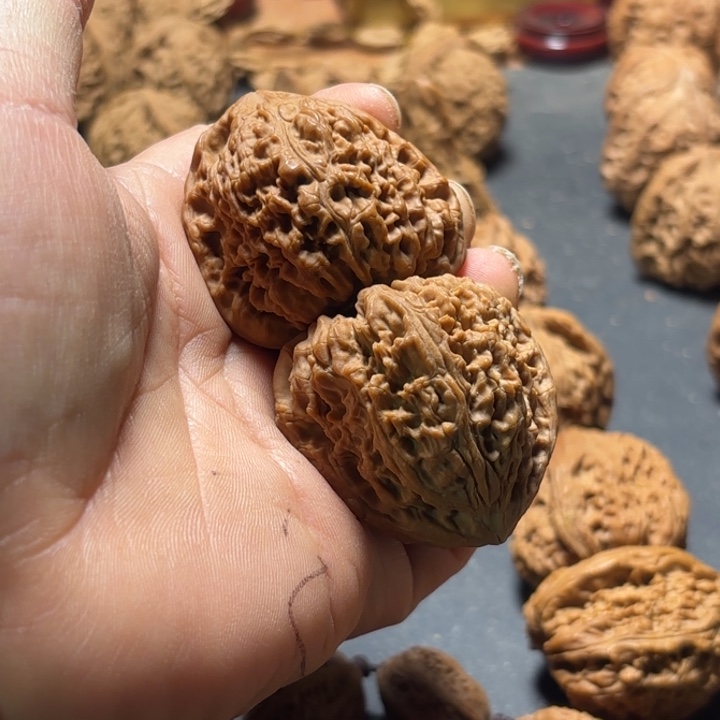 离***子大叶紫檀（黑酸枝木类）