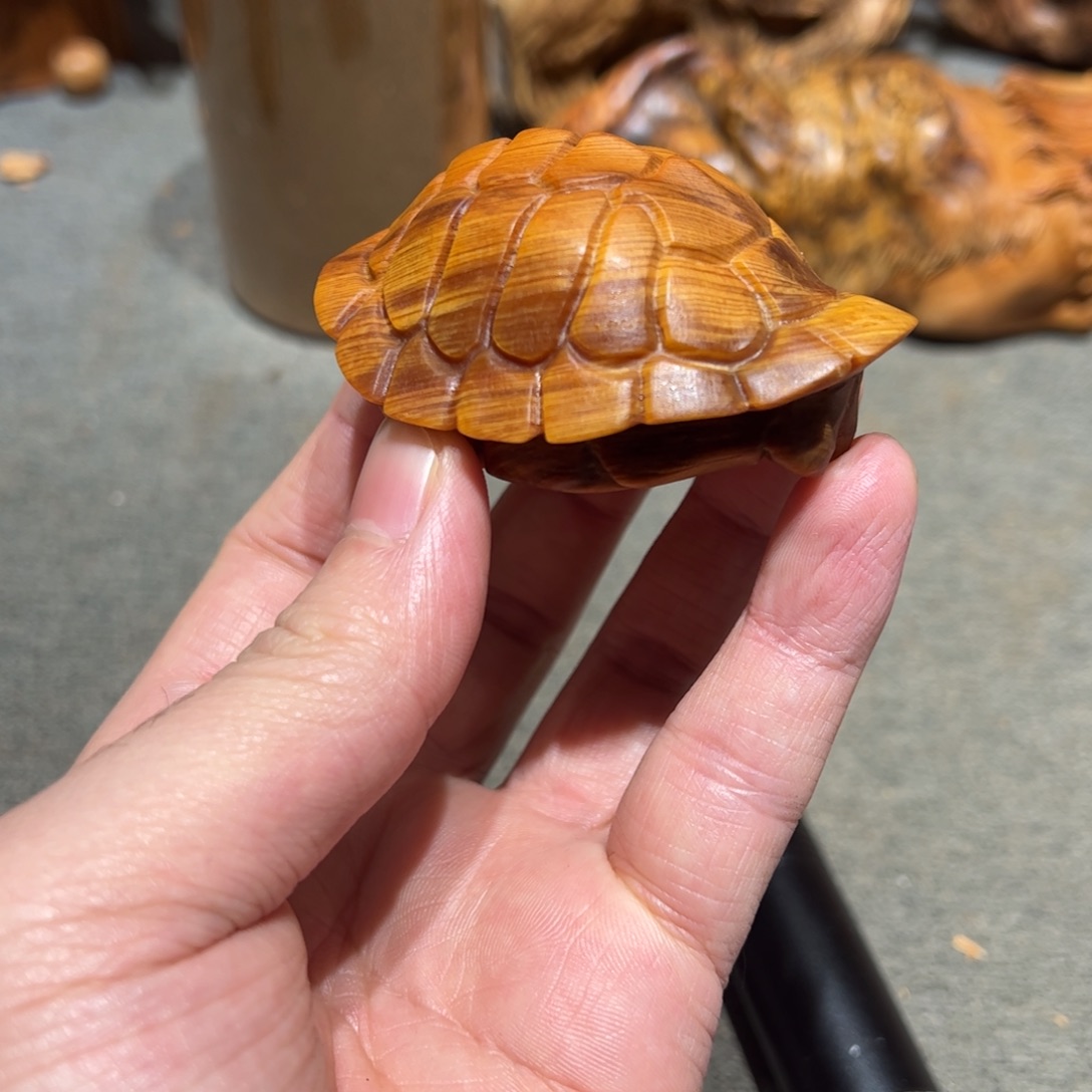 柏木（崖柏）北太行陈化崖柏