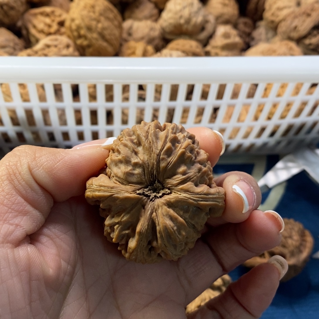 D***r文玩核桃吊坠水龙