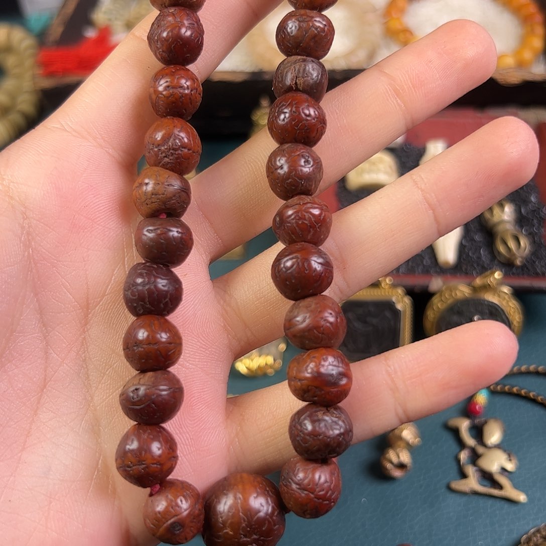 菩提根/象牙果手串