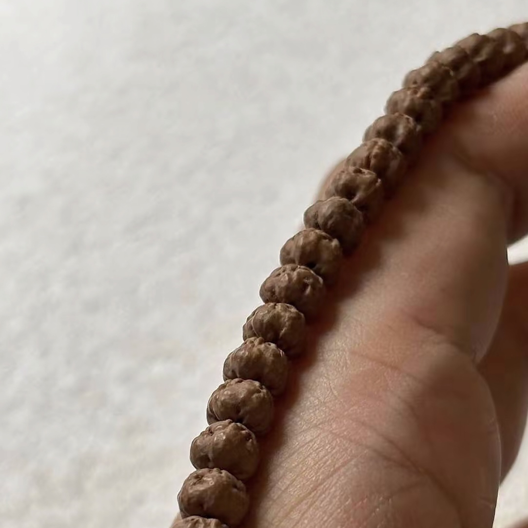 五抓金龙小金刚原装佛手