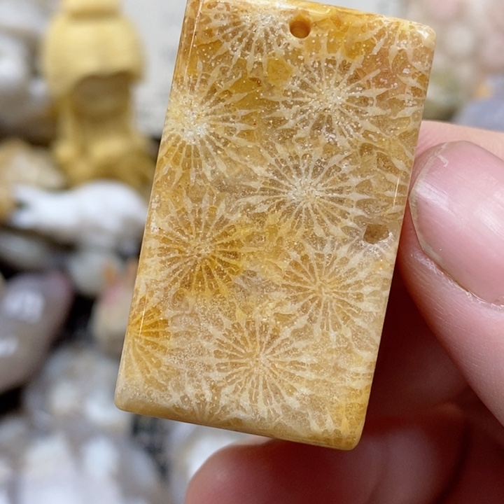 颈饰未镶嵌硅化珊瑚（珊瑚玉）