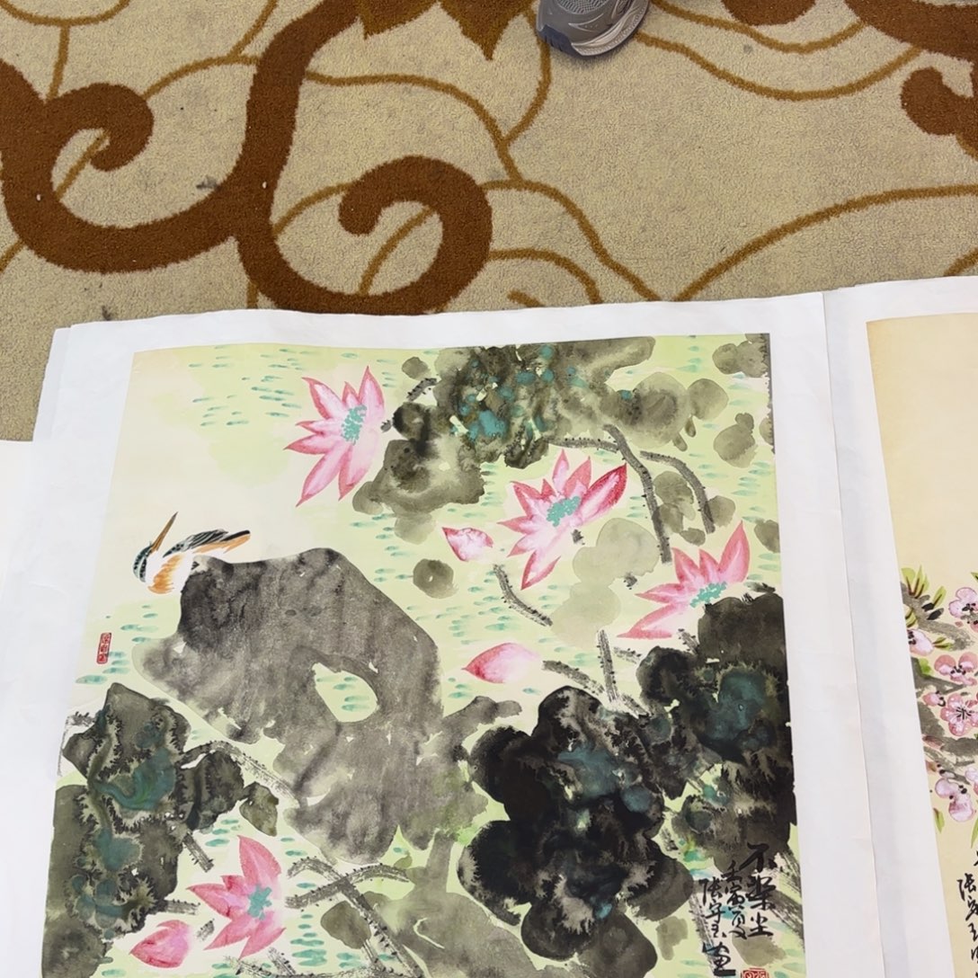 国画李李李李希李欣主播