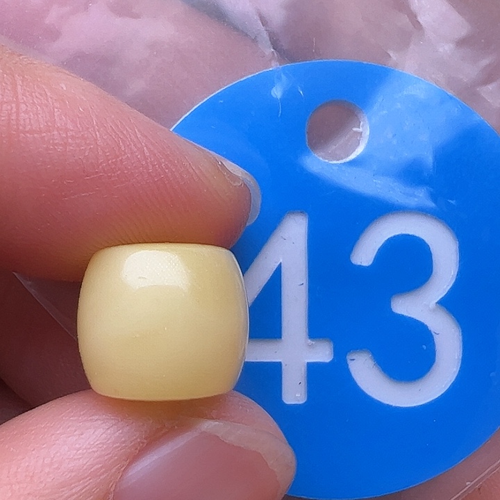 蜜蜡裸石未镶嵌花粉11m m