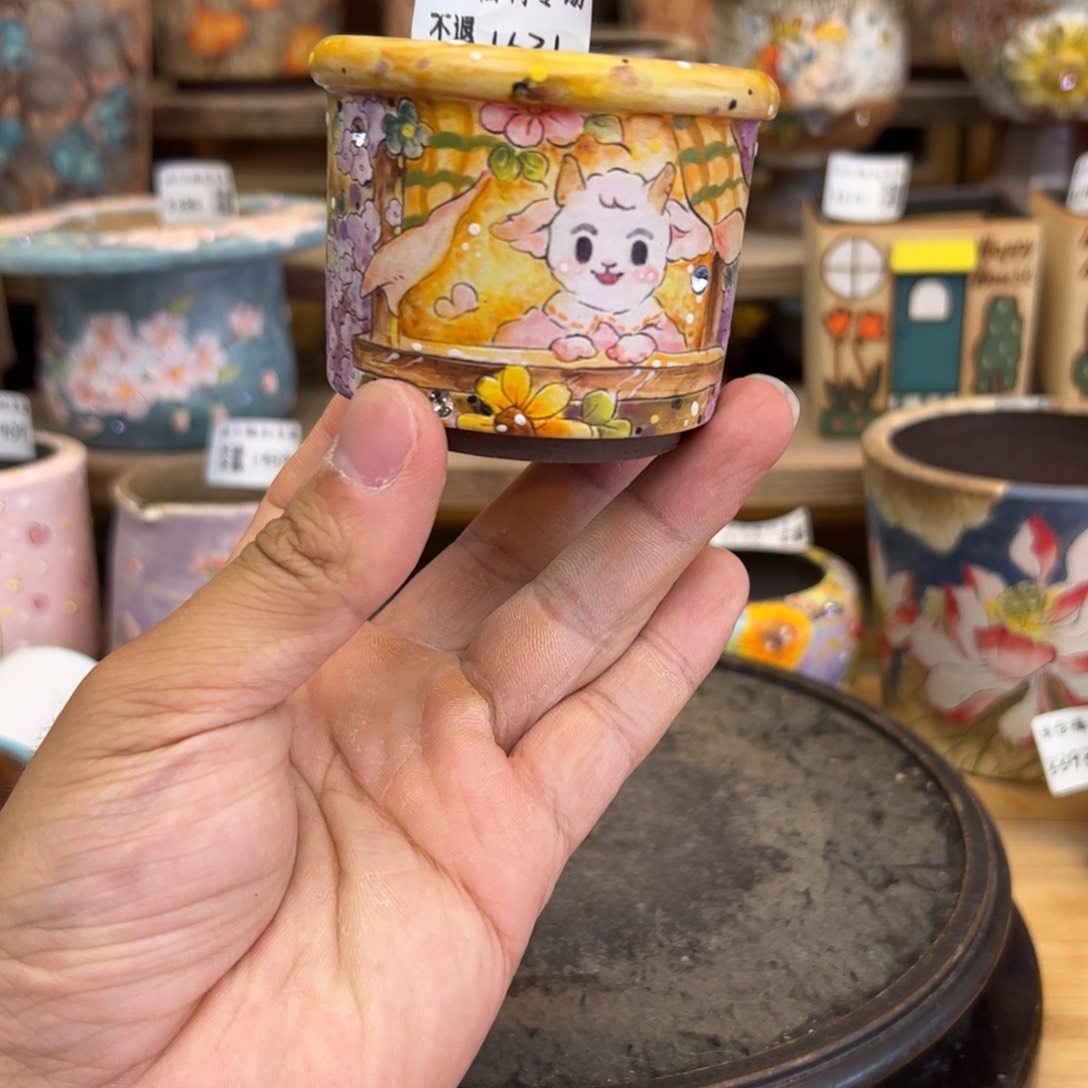 1631福利美盆来咯