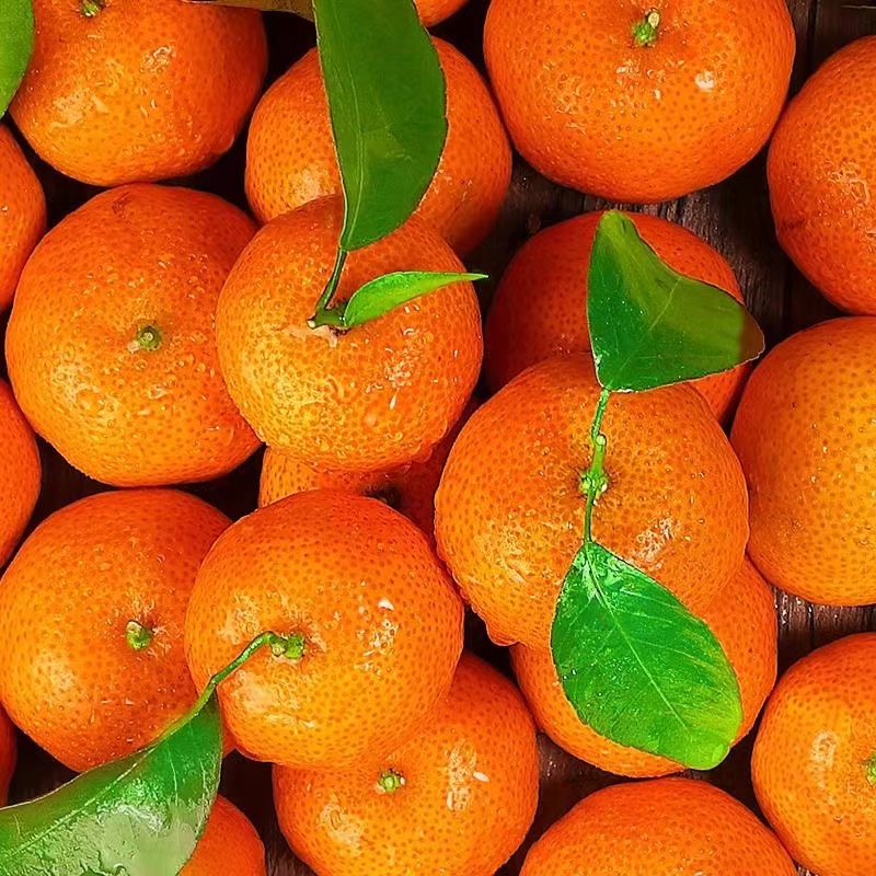 BB 高品质广西砂糖橘正宗新鲜应季水果沙糖桔子整箱包邮年货 