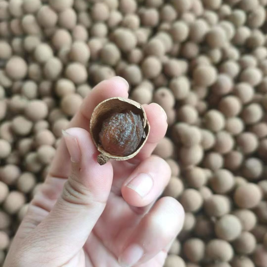 广西桂圆干当季新土石夹龙眼小核肉厚可泡水炖汤泡茶