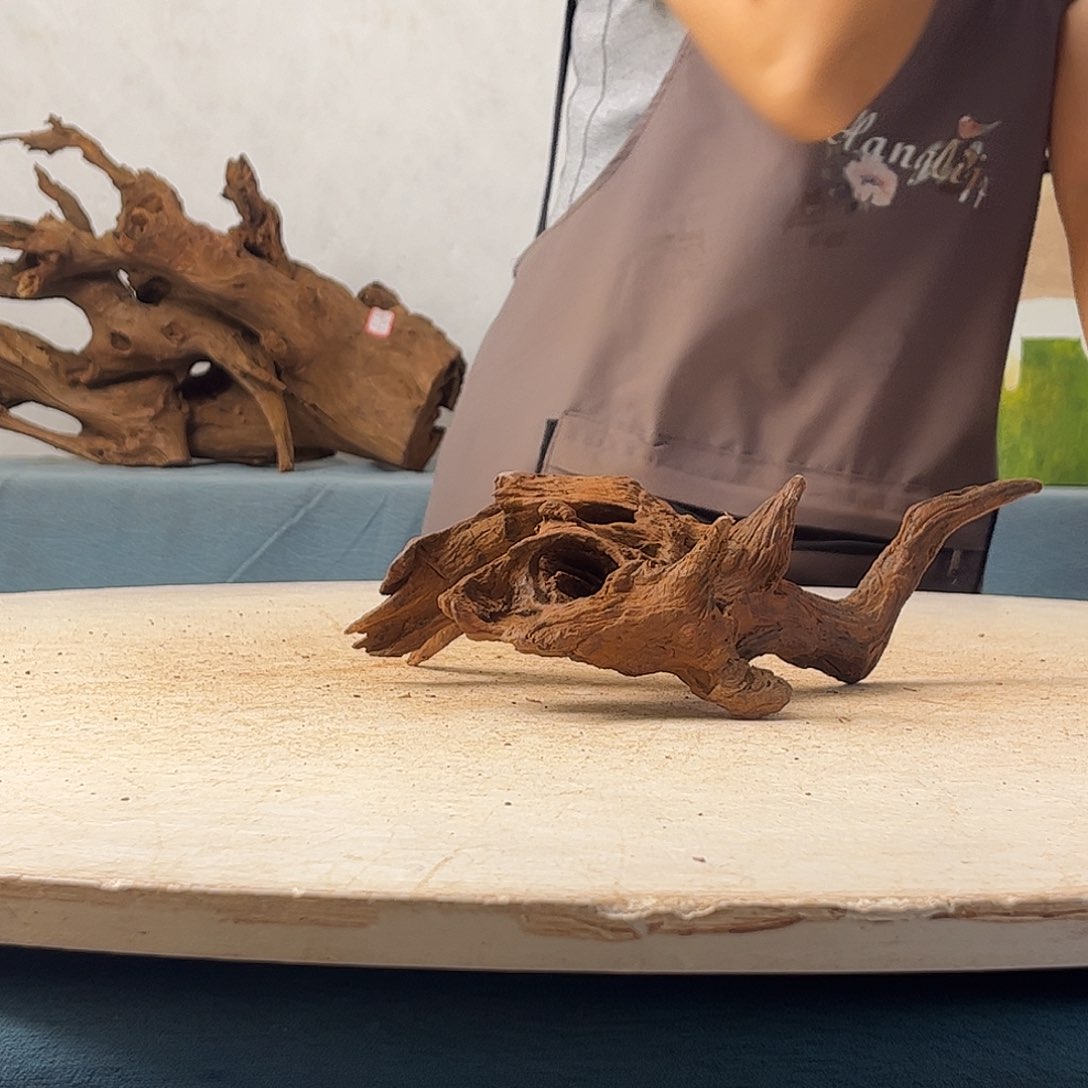 沉木造景寄居蟹景