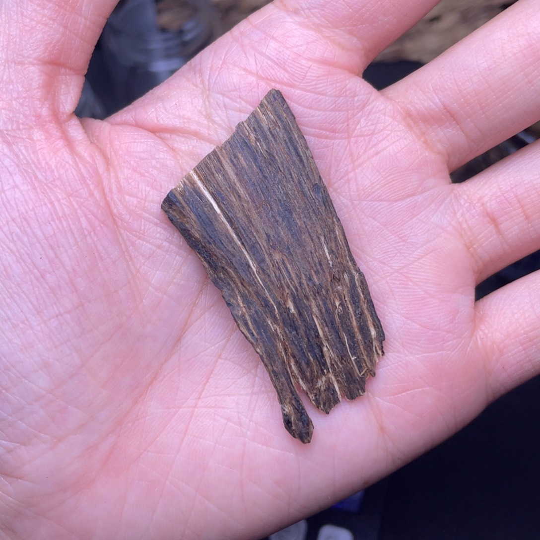 香榧木海南沉水根部香1.8克