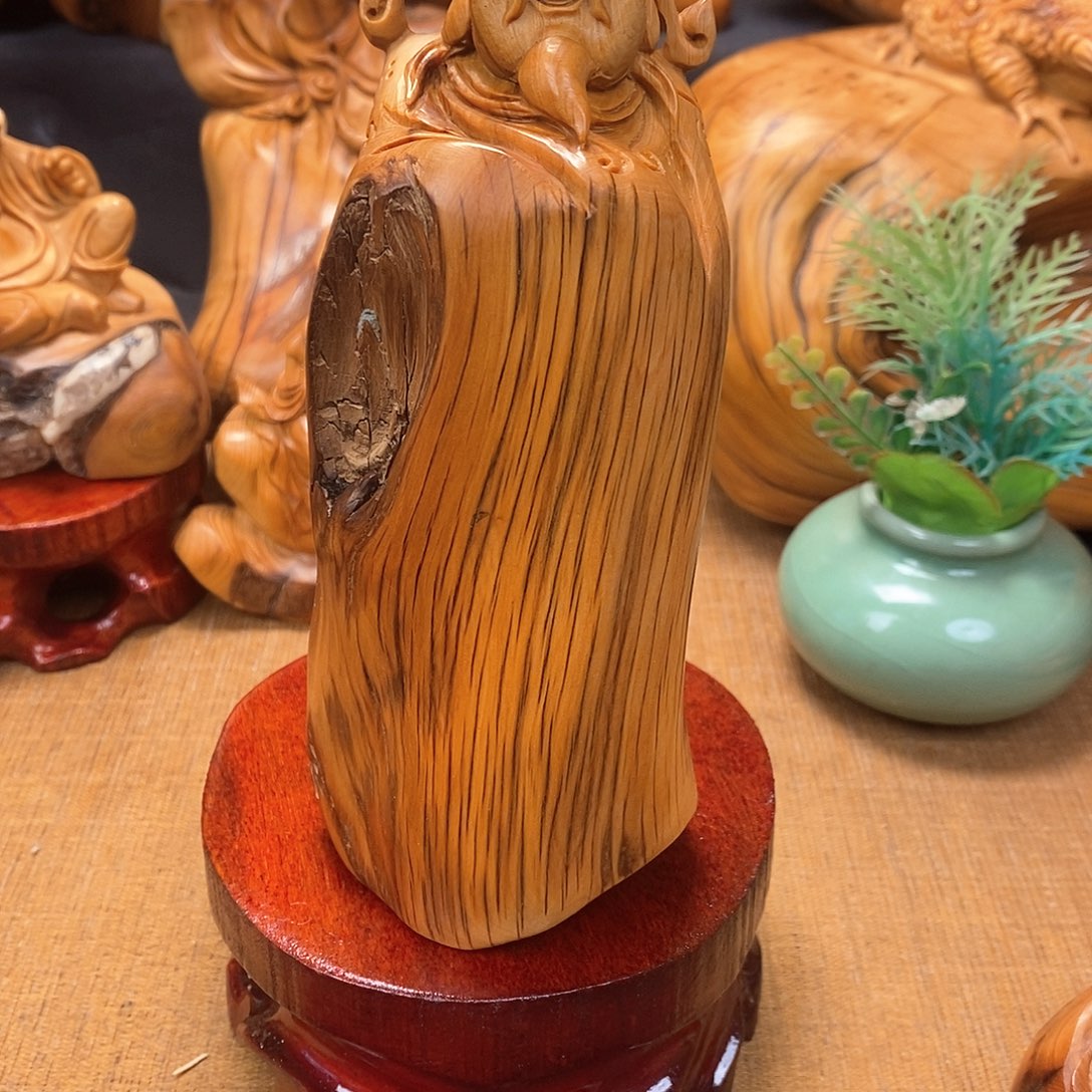 柏木（崖柏）一物一图