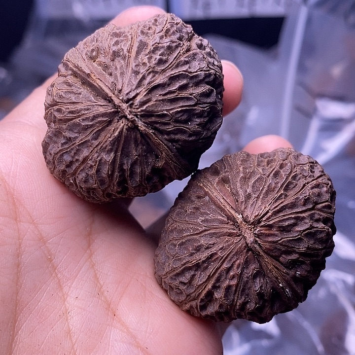 文玩核桃把件   12