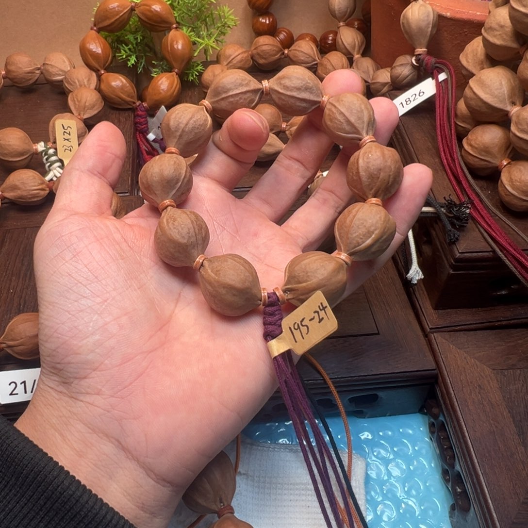 小***北梅林铁核195-24。               