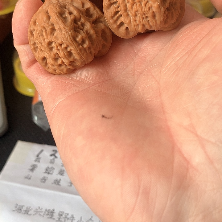 文玩核桃吊坠白岁子