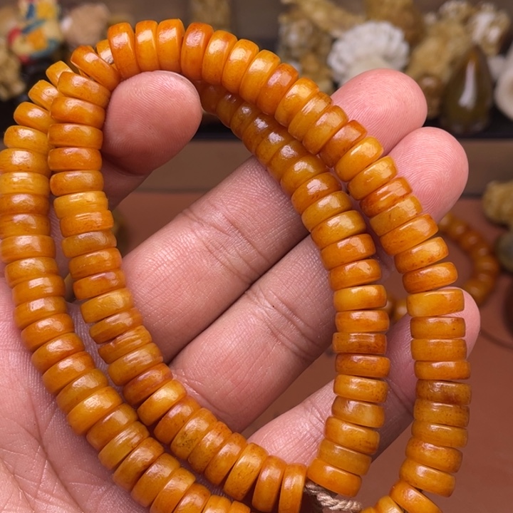 驼骨其他人工养殖