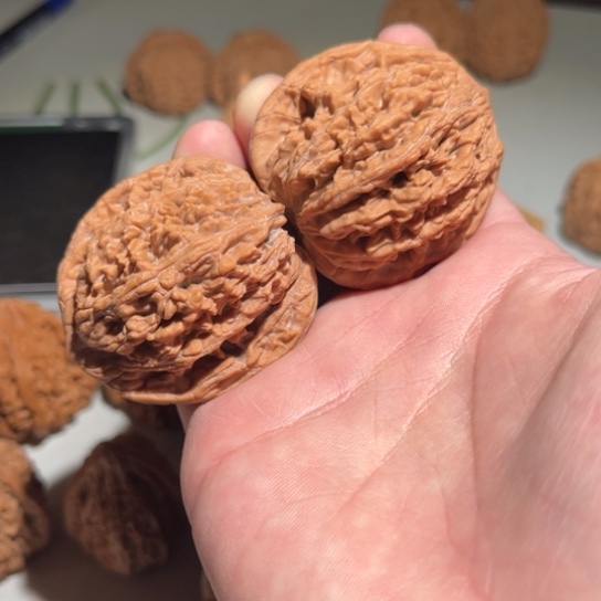 吊坠文玩核桃44虎头